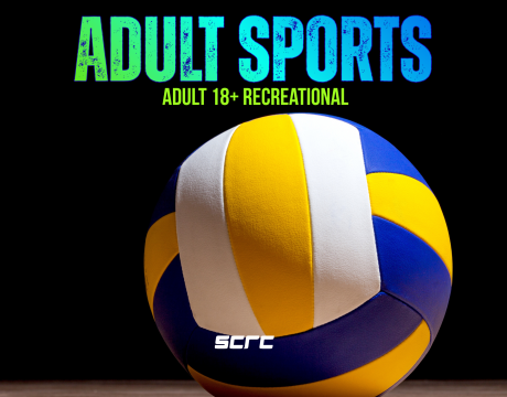 Adult Sports